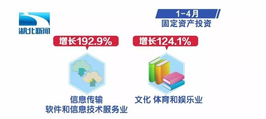 湖北1-4月經(jīng)濟運行數(shù)據(jù)出爐 軟件和信息技術服務業(yè)展現(xiàn)強勁動能