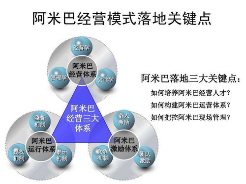 阿米巴經營模式 企業管理的分權賦能之道與適用性考量